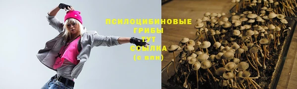 прущие грибы Переславль-Залесский