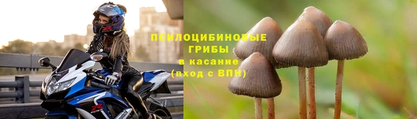 кокаин Сясьстрой