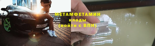прущие грибы Переславль-Залесский