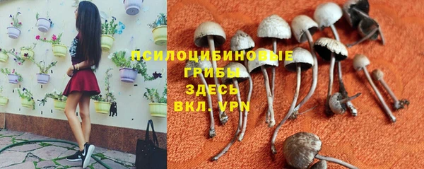 каннабис Пересвет