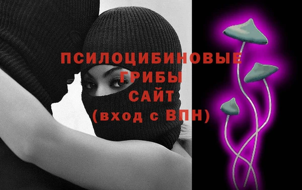 сатива Тында