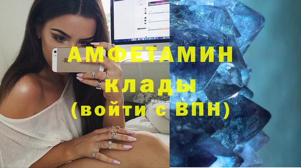 хмурый Тайга