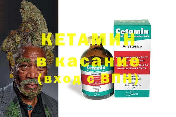 прущие грибы Переславль-Залесский