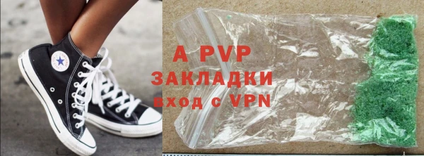 прущие грибы Переславль-Залесский