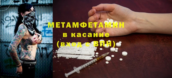 прущие грибы Переславль-Залесский