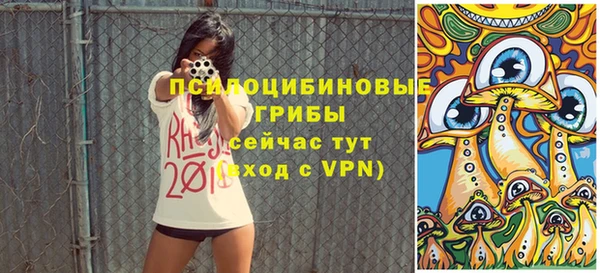 МДПВ Пестово