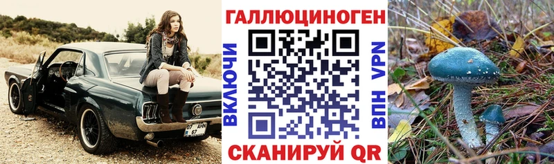 ссылка на мегу tor  Анадырь  Галлюциногенные грибы мухоморы  купить  